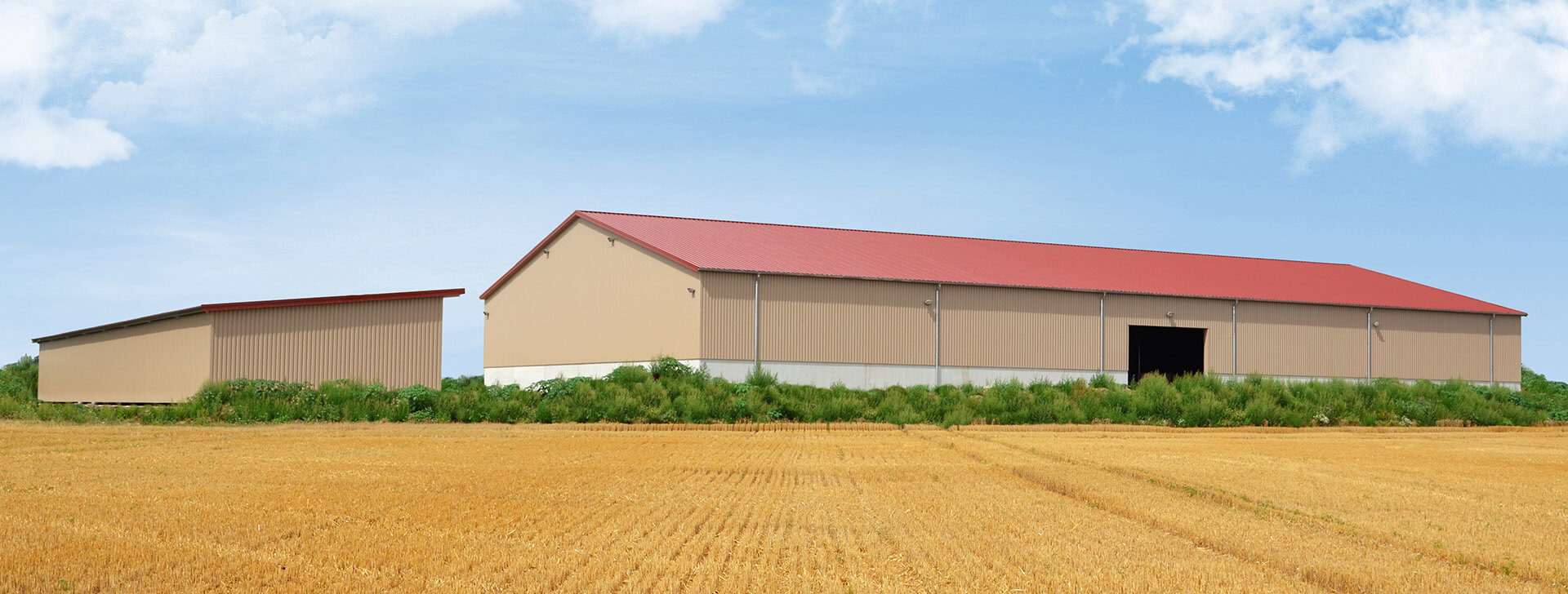 Cereale sau Mărfuri Vrac - WOLF System