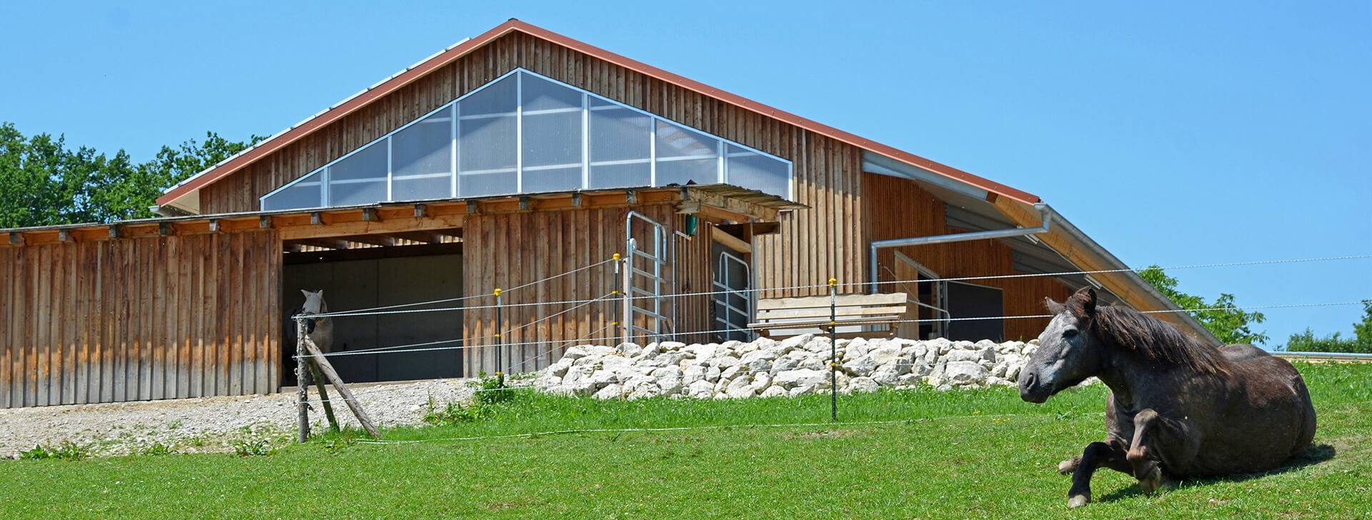 Arenă Echitație - Facilități Ecvestre - WOLF System