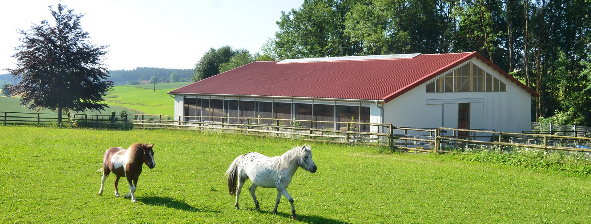 Grajdurile de Cai - WOLF System